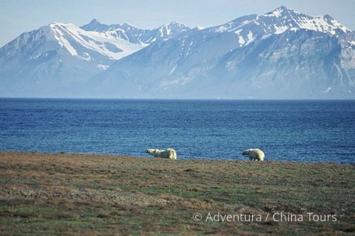 Špicberky – pozvánka do Arktidy
