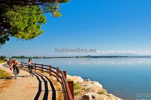 Belvedere Pineta Camping Village