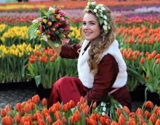 Holandsko plné barev s květinovým korzem