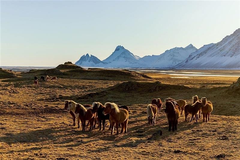 To Nejlepší z Islandu