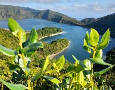 AZORY - Sao Miguel - Terceira - 2026!