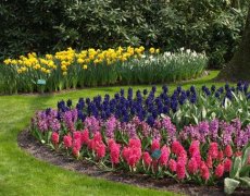 Holandsko, Velikonoce v zemi tulipánů, Amsterdam a Rotterdam