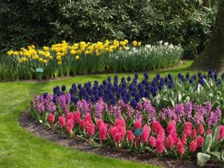 Holandsko, Velikonoce v zemi tulipánů, Amsterdam a Rotterdam