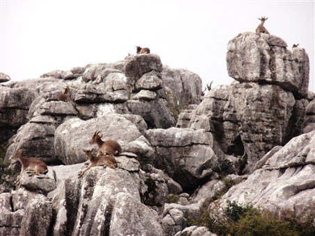 Andalusie, památky UNESCO, přírodní parky, tradice a slavnosti
