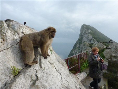 Andalusie, památky UNESCO, přírodní parky, tradice a slavnosti