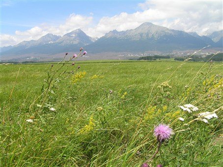 Tatry za přírodou a termály po železnici