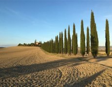 Pěšky po kraji Toskánsko, Siena a údolí UNESCO Val d'Orcia