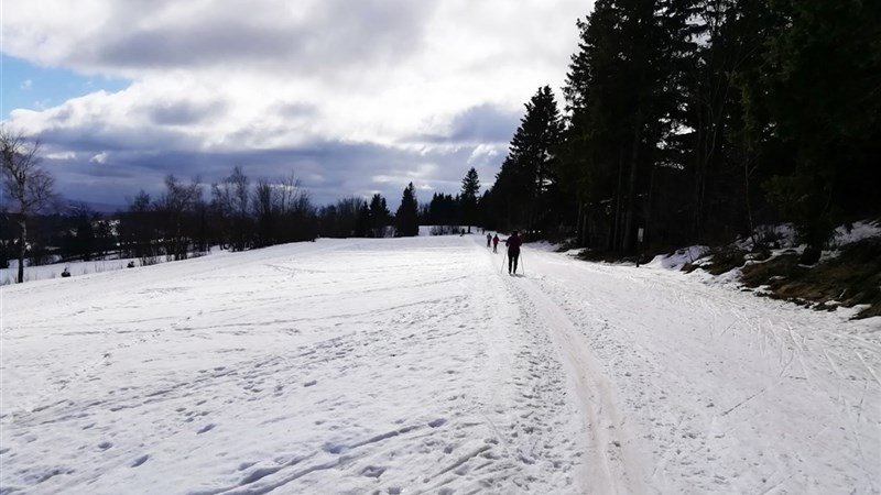 VINCENT a MIA - Dolní Moravice