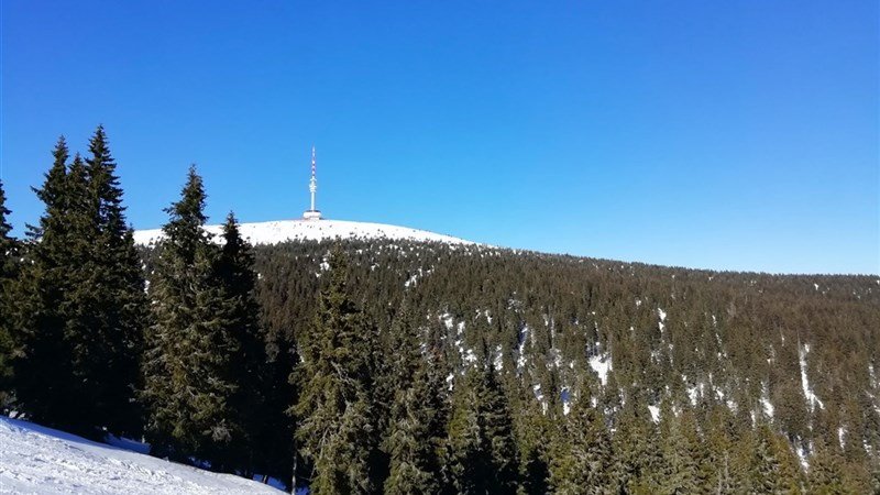 VINCENT a MIA - Dolní Moravice