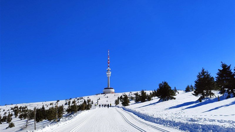 VINCENT a MIA - Dolní Moravice