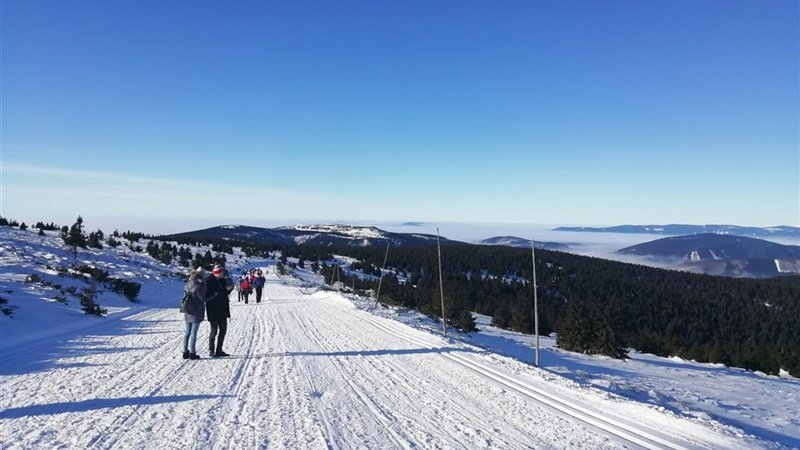 VINCENT a MIA - Dolní Moravice