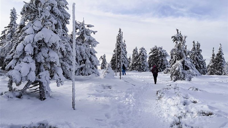 VINCENT a MIA - Dolní Moravice