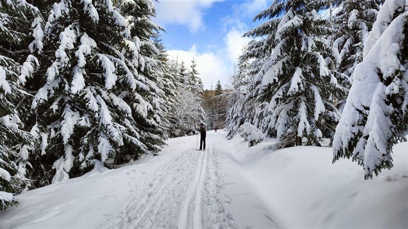 VINCENT a MIA - Dolní Moravice