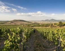 Tokajské dobrodružství v Uhrách a na Slovensku