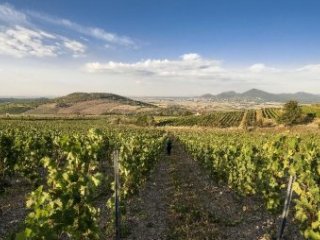 Tokajské dobrodružství v Uhrách a na Slovensku