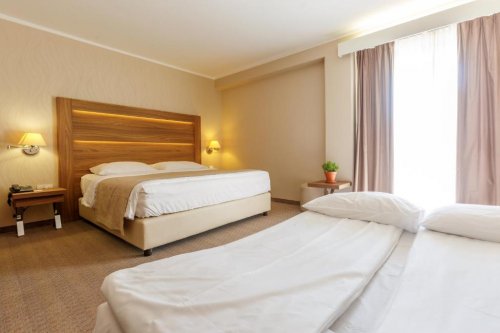Wellness  Apollo