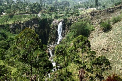 GALWAY FOREST LODGE 3