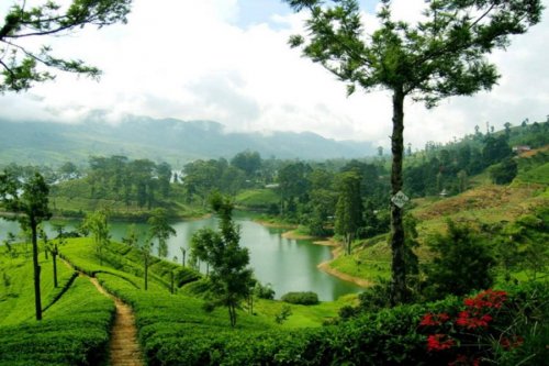 GALWAY FOREST LODGE 3