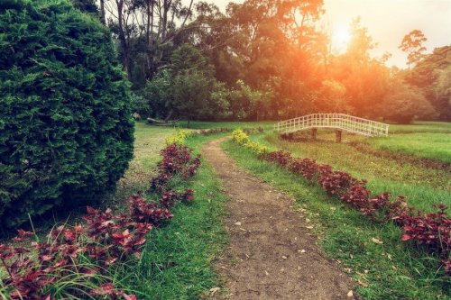 GALWAY FOREST LODGE 3