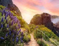 Velikonoce na Madeiře - perle Atlantiku