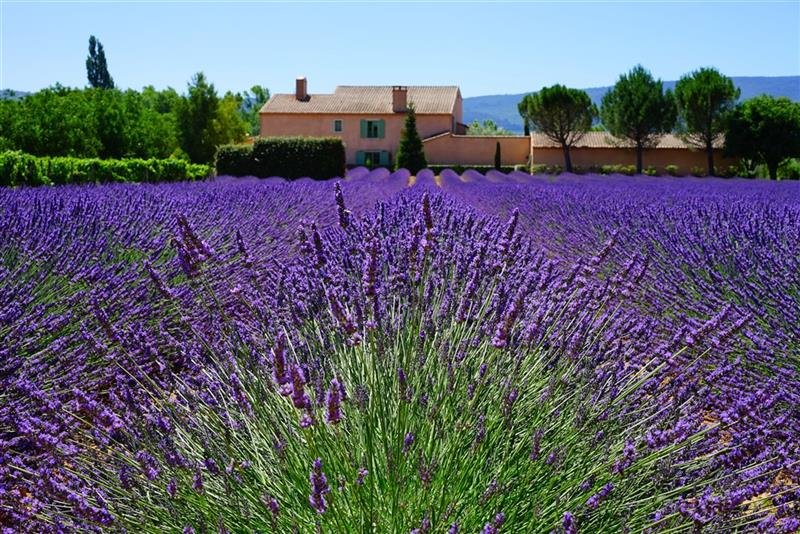 Skryté perly Provence - program s koupáním v moři, jezeře i řece