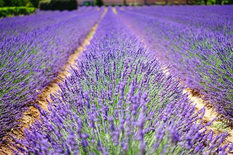 Skryté perly Provence - program s koupáním v moři, jezeře i řece