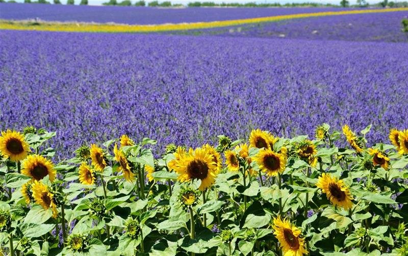 Skryté perly Provence - program s koupáním v moři, jezeře i řece