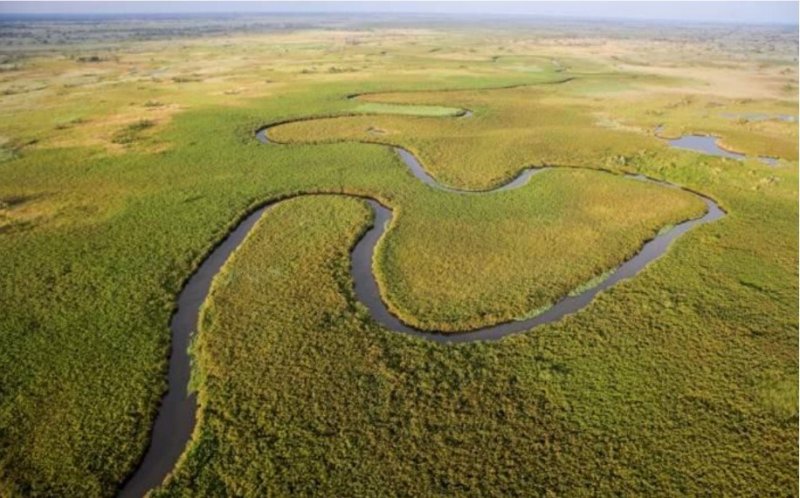 Botswana - Delta Okavanga - Africké království divočiny