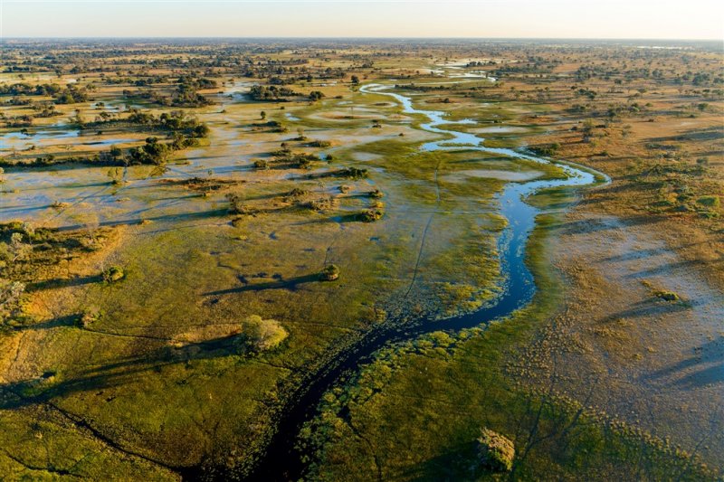 Botswana - Delta Okavanga - Africké království divočiny