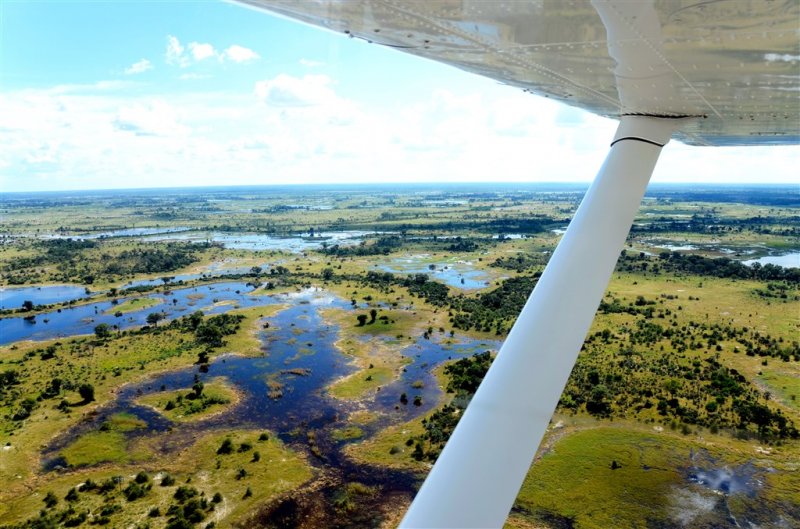 Botswana - Delta Okavanga - Africké království divočiny