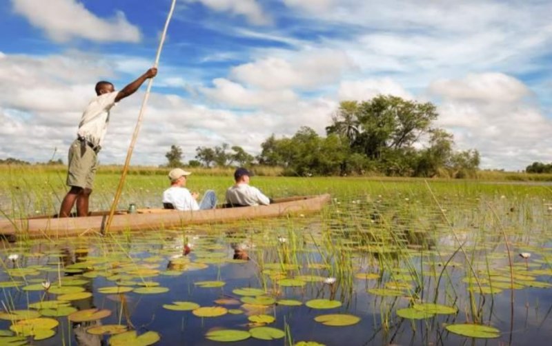 Botswana - Delta Okavanga - Africké království divočiny