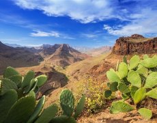 Kanárské Ostrovy - Gran Canaria
