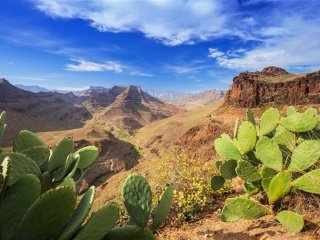 Kanárské Ostrovy - Gran Canaria