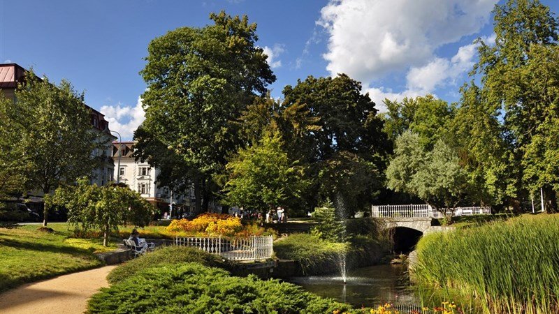 VÁNOCE A SILVESTR, SPA HOTEL DĚVÍN - Mariánské Lázně