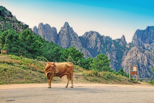 Pěšky jižní Korsikou