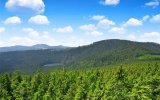 Šumava, zámky a kláštery na Vltavě, šumava – Volary: Jezera, Horské Výhledy a Renesance šumava – Volary: Jezera, Horské Výhledy a Renesance