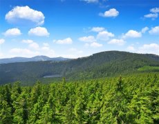 šumava – Volary: Jezera, Horské Výhledy a Renesance
