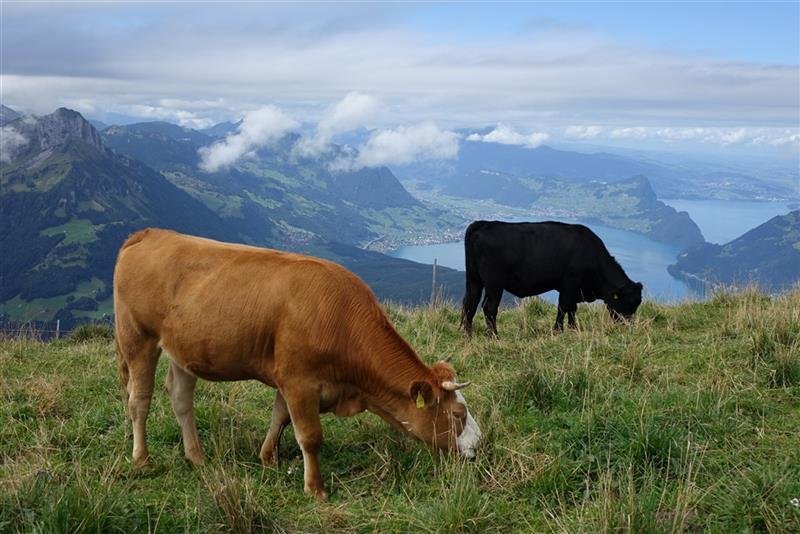 Bernské Alpy - klenot Švýcarska
