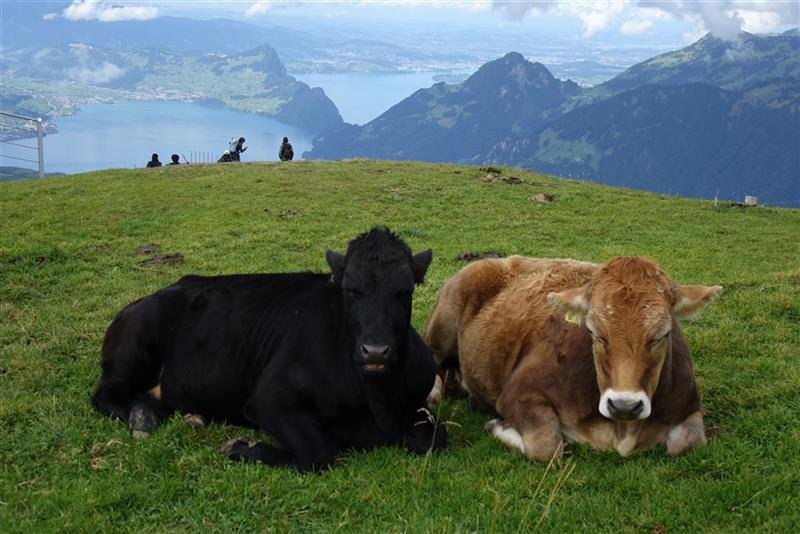 Bernské Alpy - klenot Švýcarska