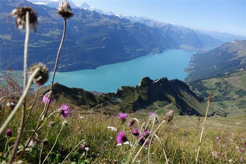 Bernské Alpy - klenot Švýcarska