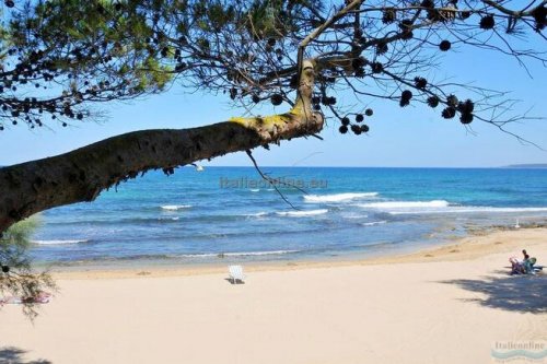 Camping La Vecchia Torre