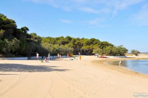 Camping La Vecchia Torre