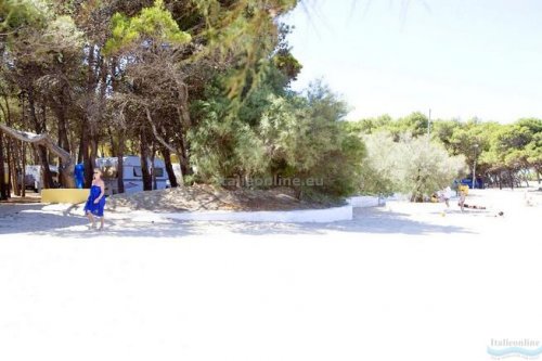 Camping La Vecchia Torre