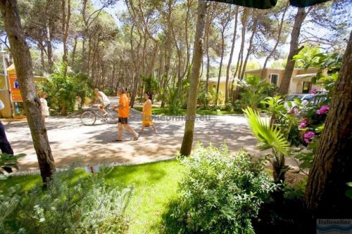 Camping La Vecchia Torre