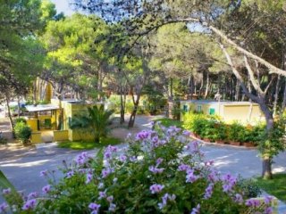 Camping La Vecchia Torre Camping La Vecchia Torre