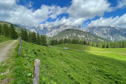 NORDIC WALKING V PODHŮŘÍ DACHSTEINU