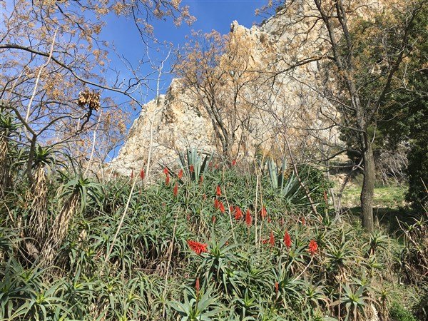 Slunečná Andalusie z Brna - kombinace hor, pláží, vína a kultury