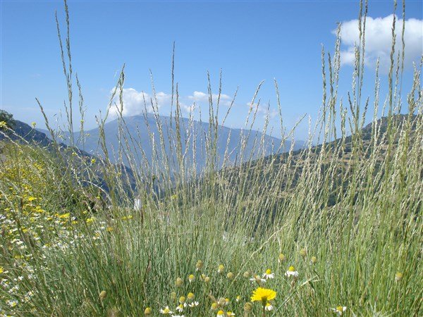 Slunečná Andalusie z Brna - kombinace hor, pláží, vína a kultury