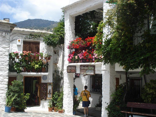 Slunečná Andalusie z Brna - kombinace hor, pláží, vína a kultury