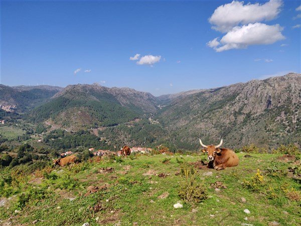 Porto a bukolická příroda severního Portugalska